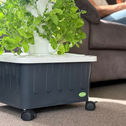 Compact FlowGrow hydroponic tower on castors in a living room, growing fresh herbs
