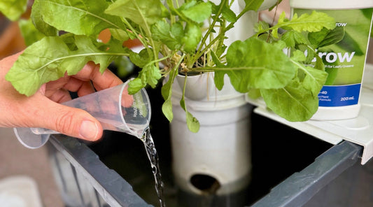 FlowGrow hydroponic tower water top-up for home nutrient care in New Zealand