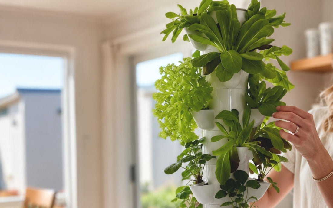Woman tending fresh leafy greens growing in a FlowGrow hydroponic tower indoors.