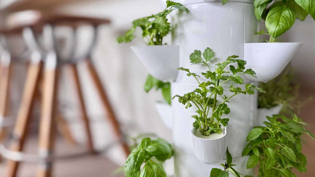 FlowGrow hydroponic tower garden for growing fresh food without a backyard in New Zealand