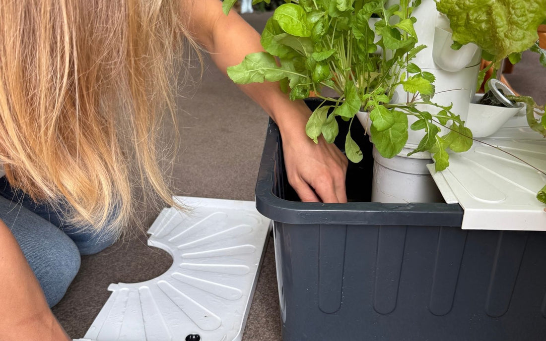 Checking a FlowGrow hydroponic tower reservoir while troubleshooting plant growth