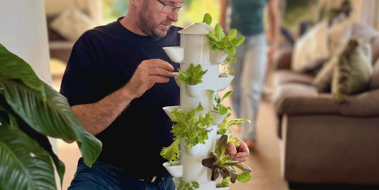 Person tending a FlowGrow hydroponic tower inside a New Zealand home