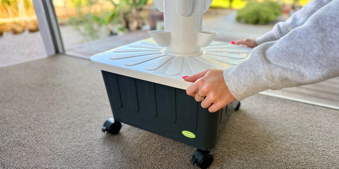 FlowGrow hydroponic tower placed in a bright home position for healthy plant growth