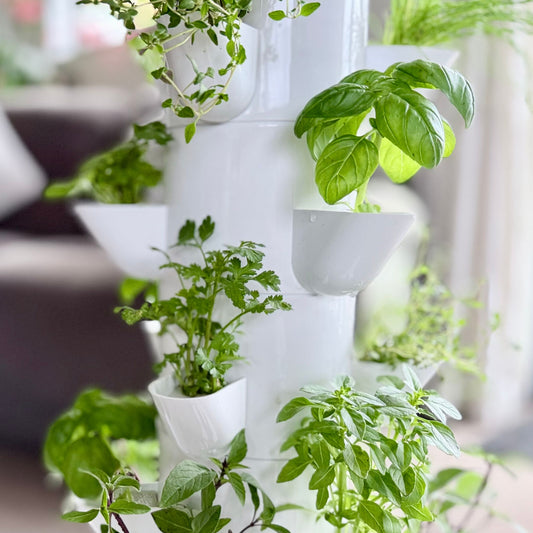 FlowGrow white vertical hydroponic system with green herbs in a home setting in New Zealand
