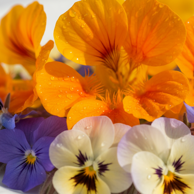 Edible flowers