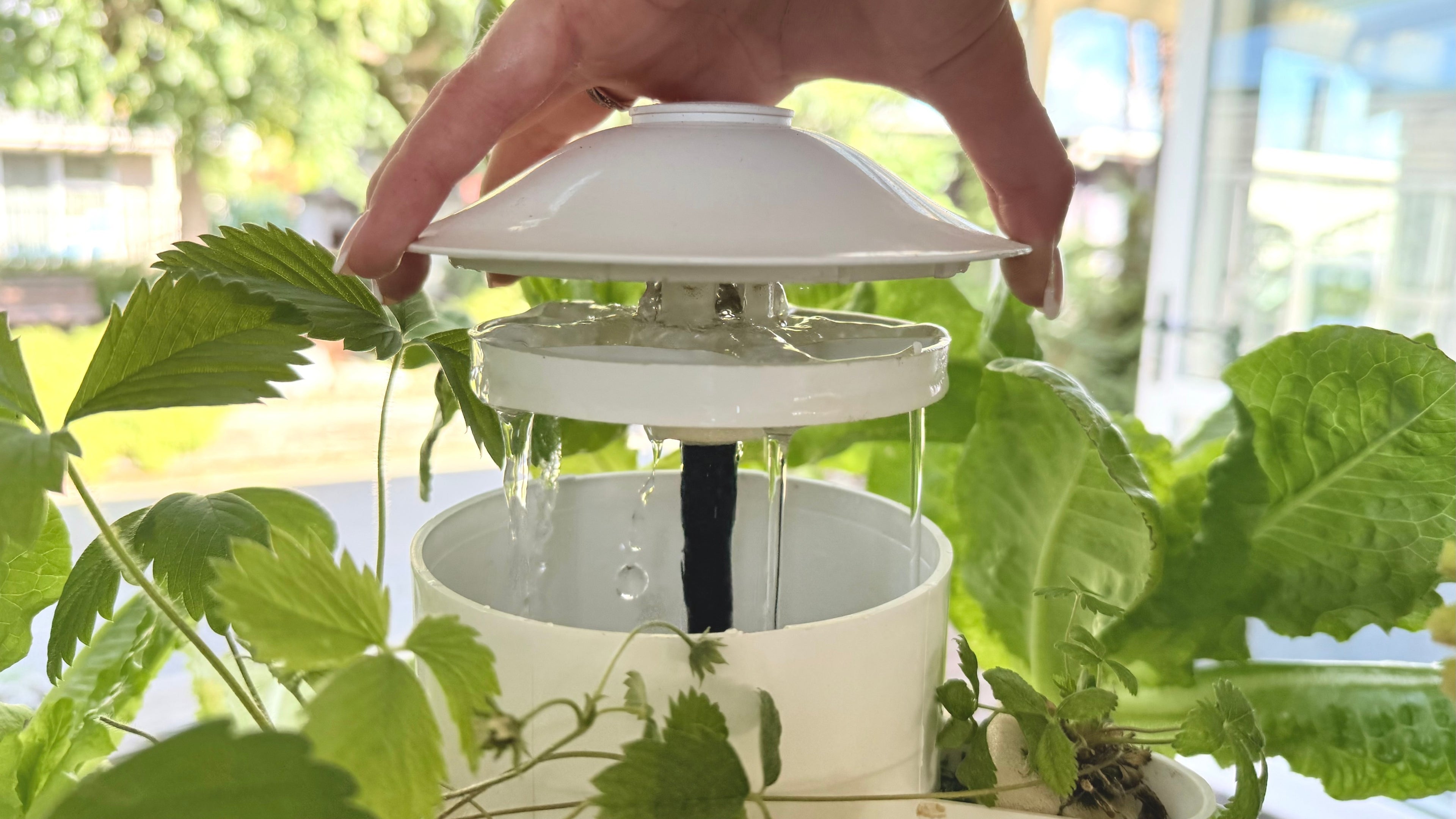 CLose up of a hand lifitng the flow cap to show how the water system works in a FlowGrow Tower, New Zealand garden in the background 