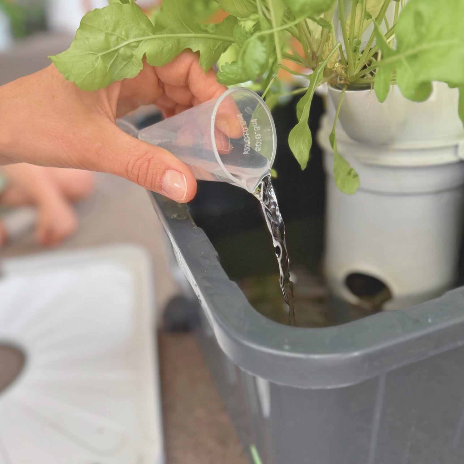 Person adding water to the FlowGrow reservoir to support healthy plant growth