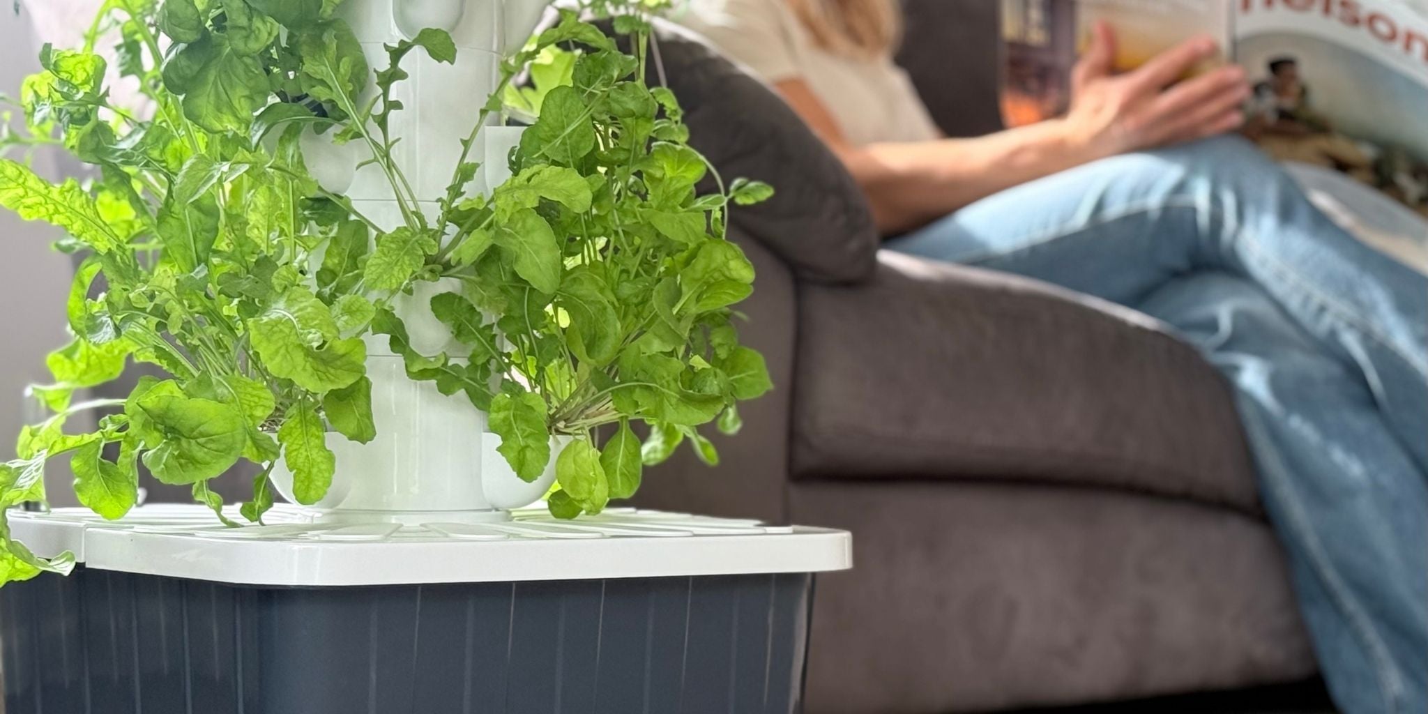 Indoor hydroponic tower with plants, a person sitting on a couch in the background