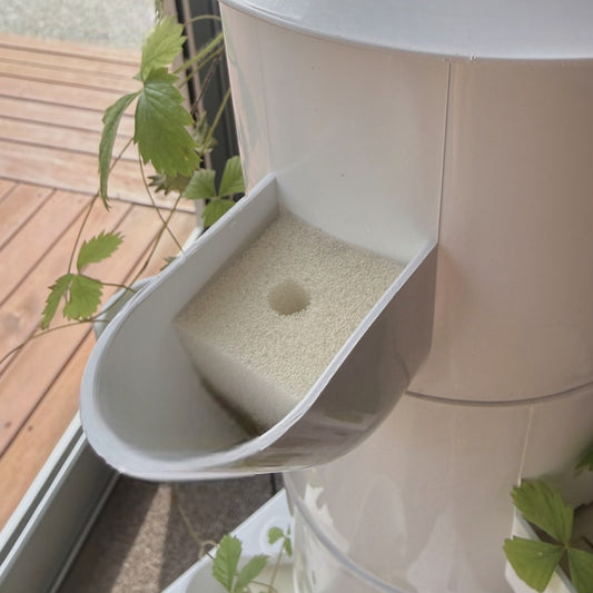 Planting sponge supporting a seedling in a FlowGrow tower