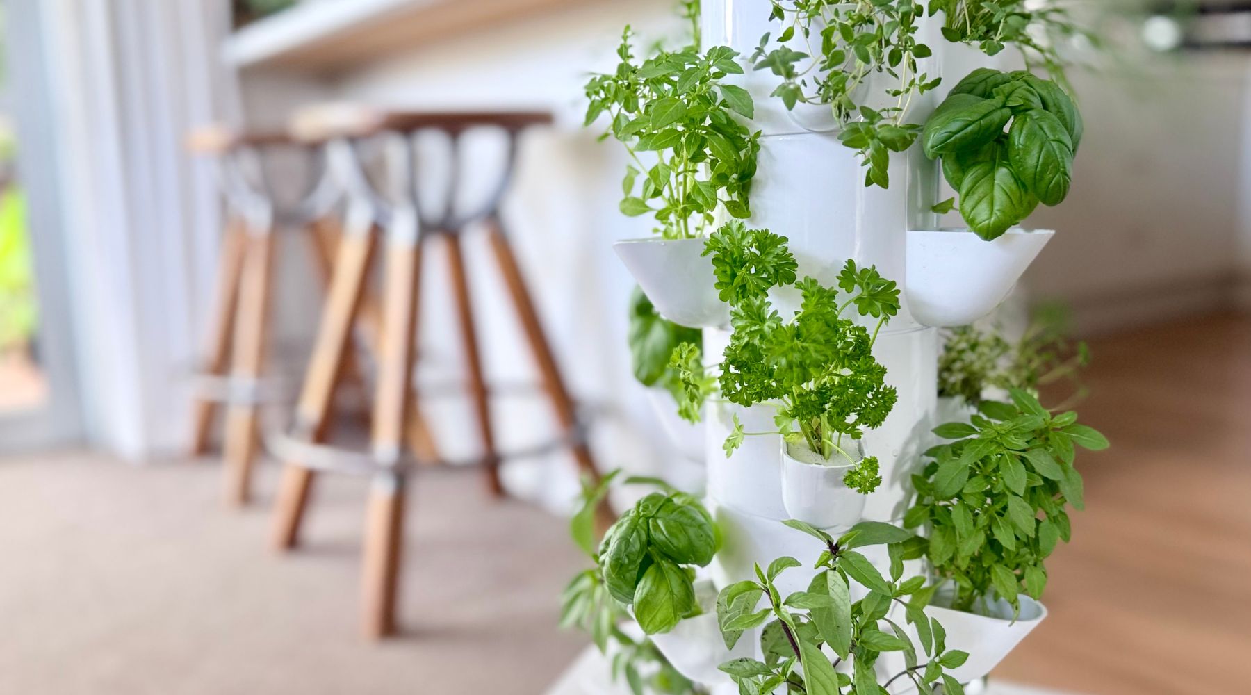 Indoor garden tower growing herbs and leafy greens in a New Zealand home