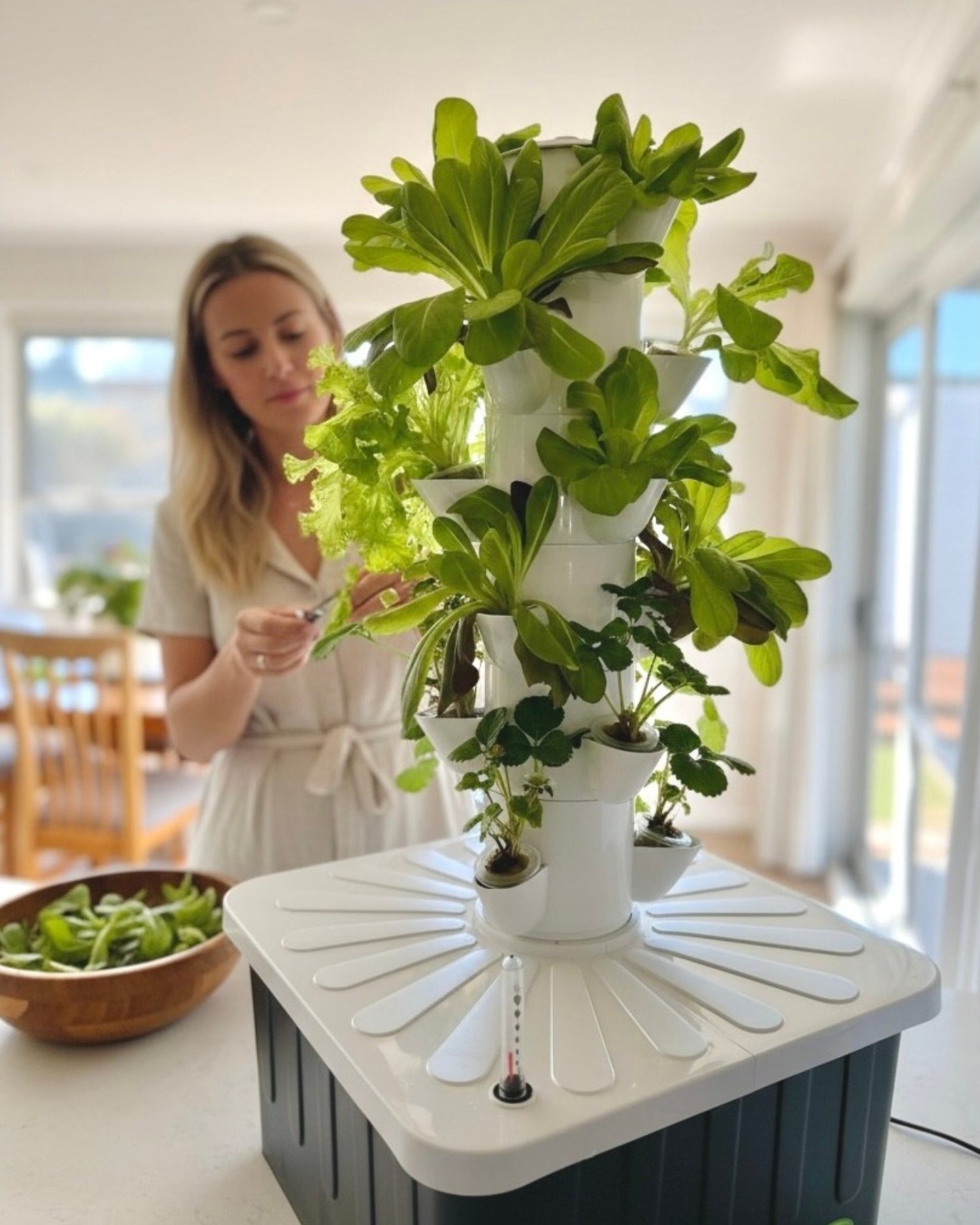 A woman in a light dress picking lettuce leaves from a white vertical hydroponic garden filled with green leafy lettuce and strawberry plants, set on a white kitchen bench.