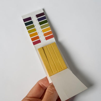 pH test strips for hydroponic water testing