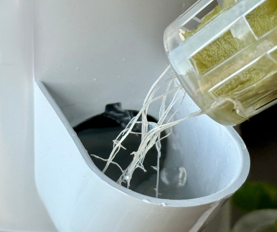 Understanding Hydroponics