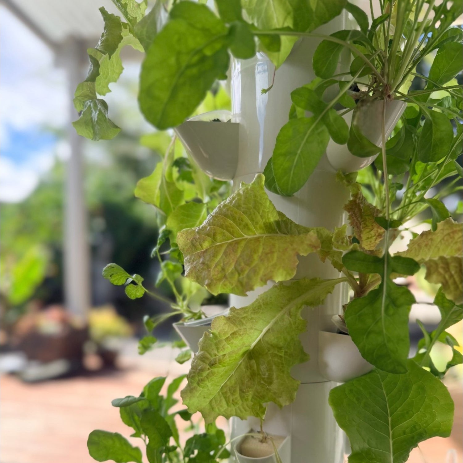FlowGrow vertical garden tower on a balcony in New Zealand