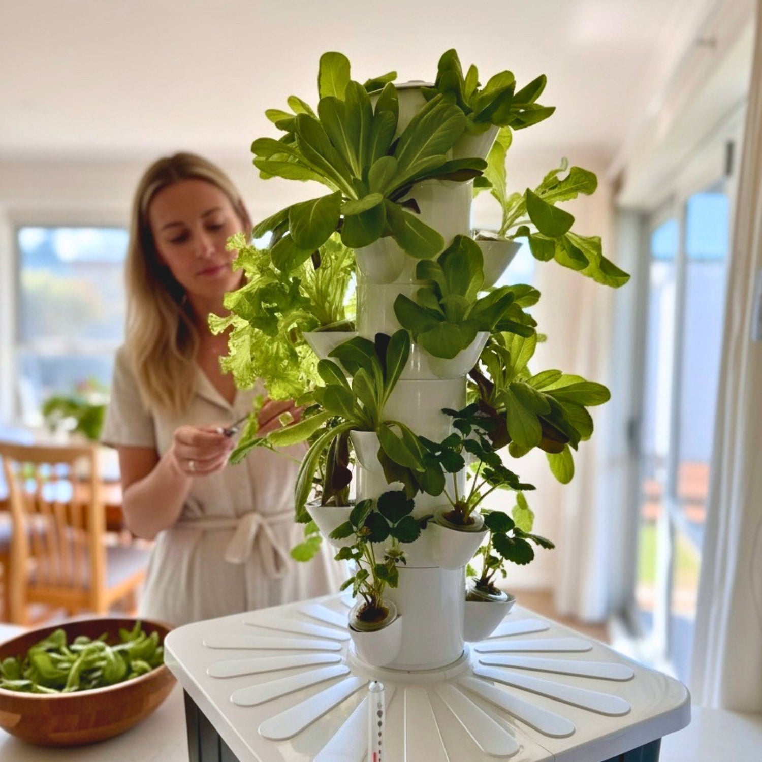A woman in a white dress picking lettuce leaves from a white vertical hydroponic garden filled with green leafy plants, set on a white table in a bright indoor room.